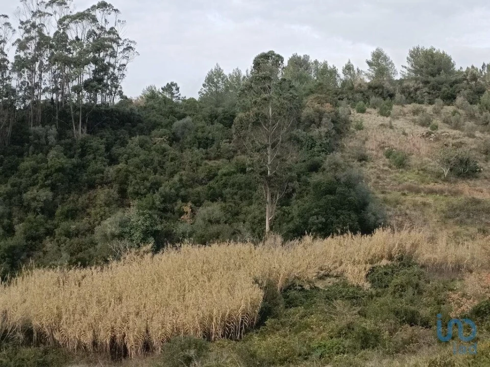 Terreno para Venda em Vila Verde dos Francos Foto 3
