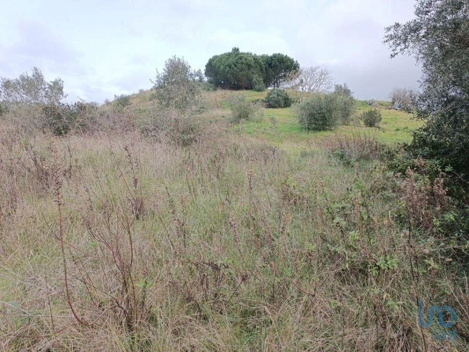 Terreno para Venda em Vila Verde dos Francos Foto 7