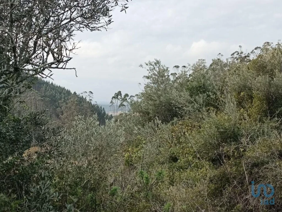 Terreno para Venda em Vila Verde dos Francos Foto 6