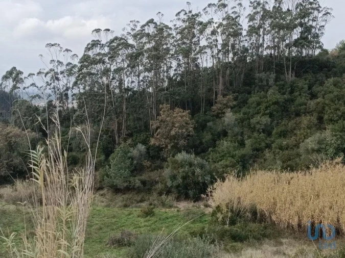 Terreno para Venda em Vila Verde dos Francos Foto 1