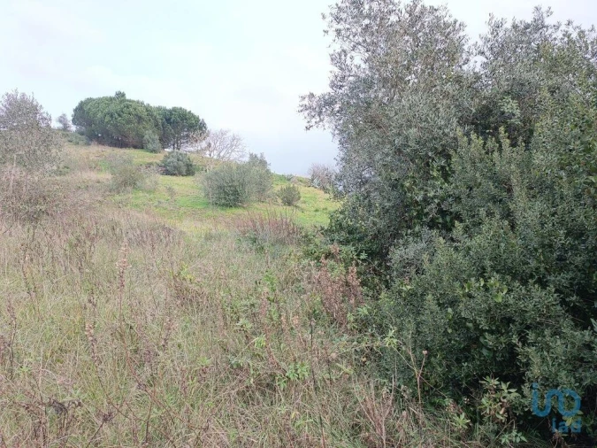 Terreno para Venda em Vila Verde dos Francos Foto 5