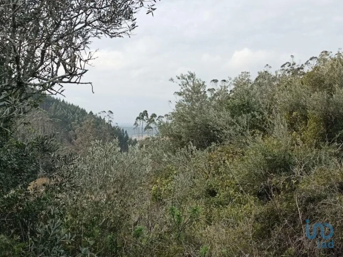 Terreno para Venda em Vila Verde dos Francos Foto 6