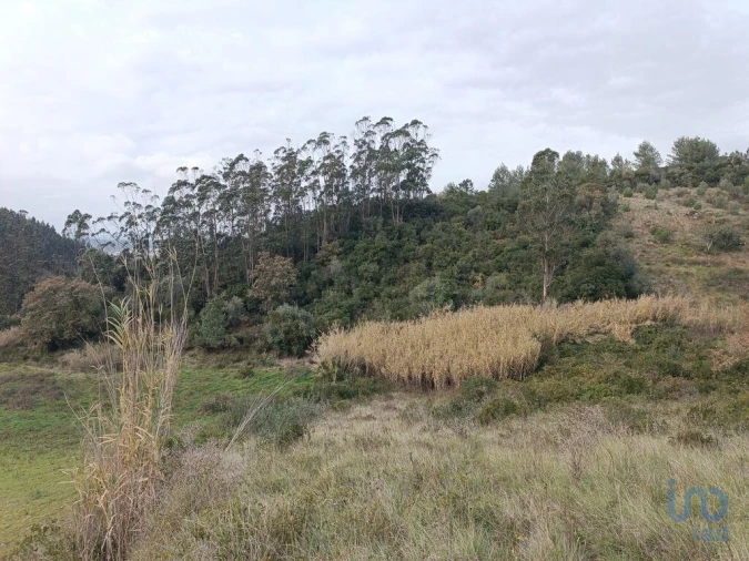 Terreno para Venda em Vila Verde dos Francos Foto 2