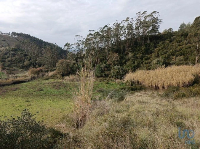 Terreno para Venda em Vila Verde dos Francos Foto 4