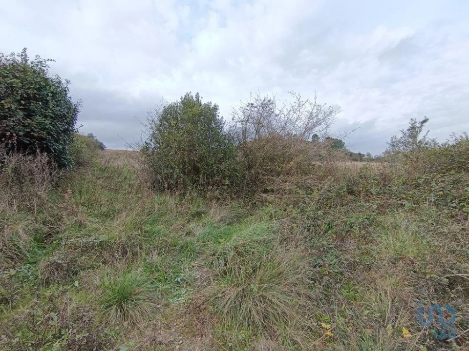 Terreno para Venda em Vila Verde dos Francos Foto 6