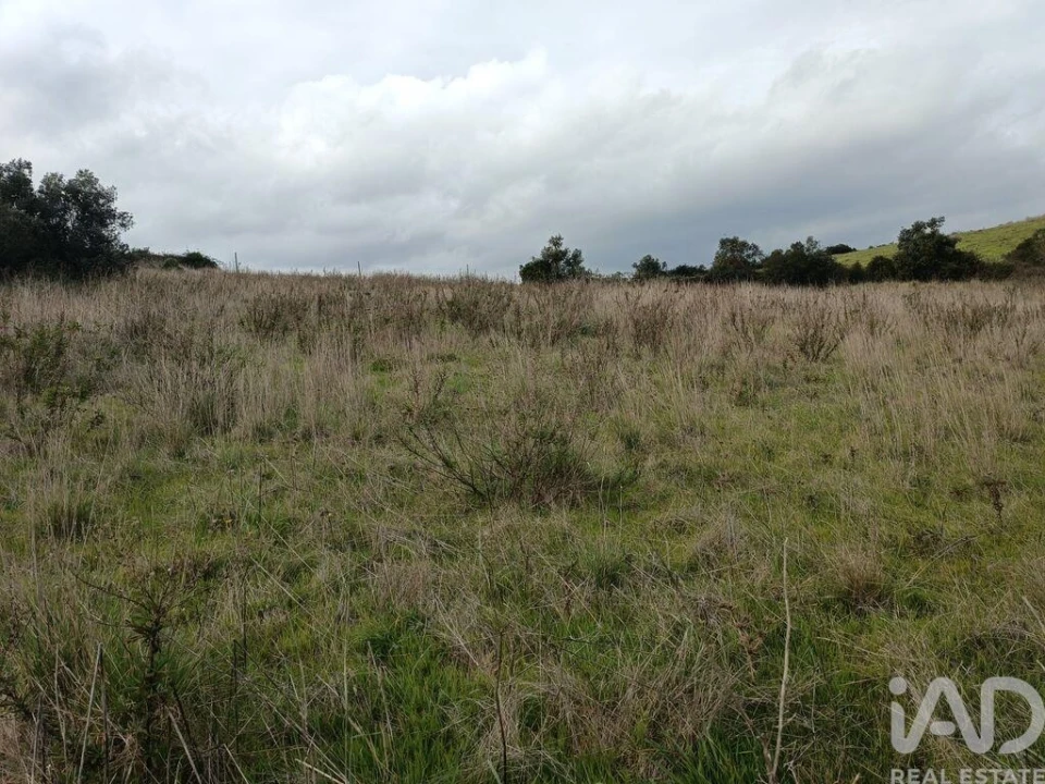 Terreno para Venda em Vila Verde dos Francos Foto 19