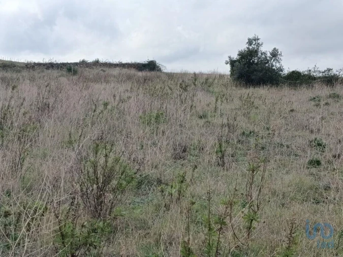 Terreno para Venda em Vila Verde dos Francos Foto 12