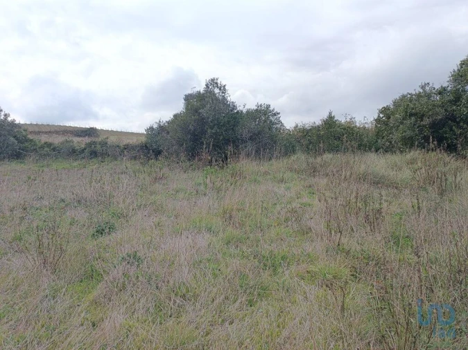 Terreno para Venda em Vila Verde dos Francos Foto 14