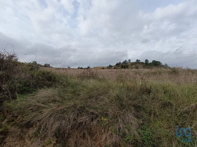 Terreno para Venda em Vila Verde dos Francos Foto 5