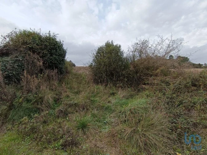 Terreno para Venda em Vila Verde dos Francos Foto 7