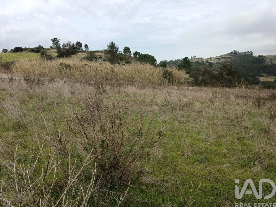 Terreno para Venda em Vila Verde dos Francos Foto 17