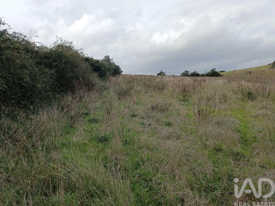 Terreno para Venda em Vila Verde dos Francos Foto 24