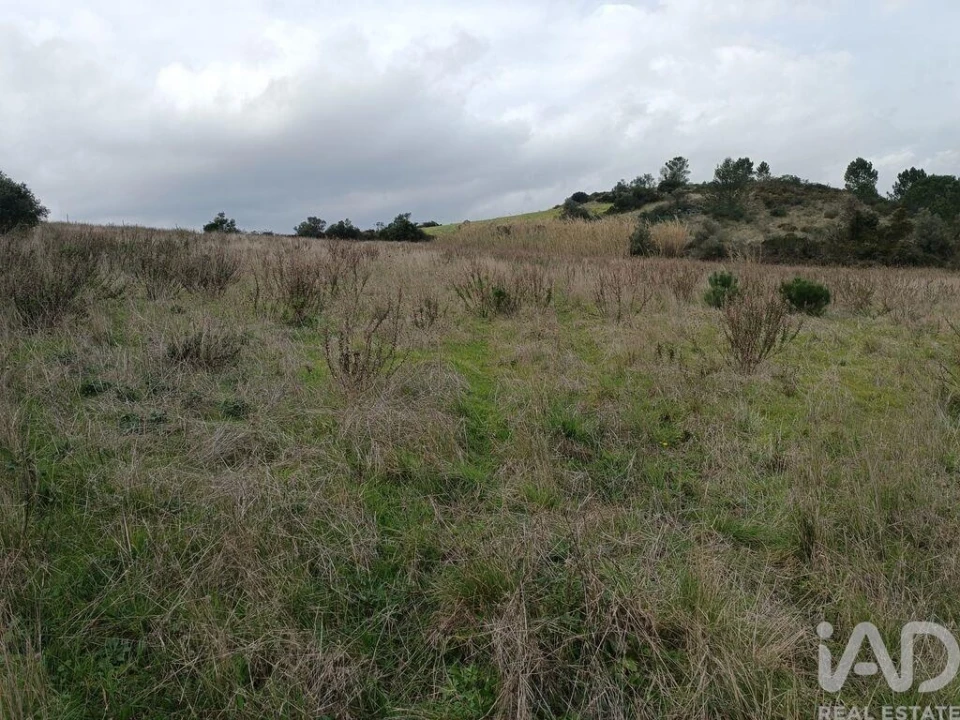 Terreno para Venda em Vila Verde dos Francos Foto 21