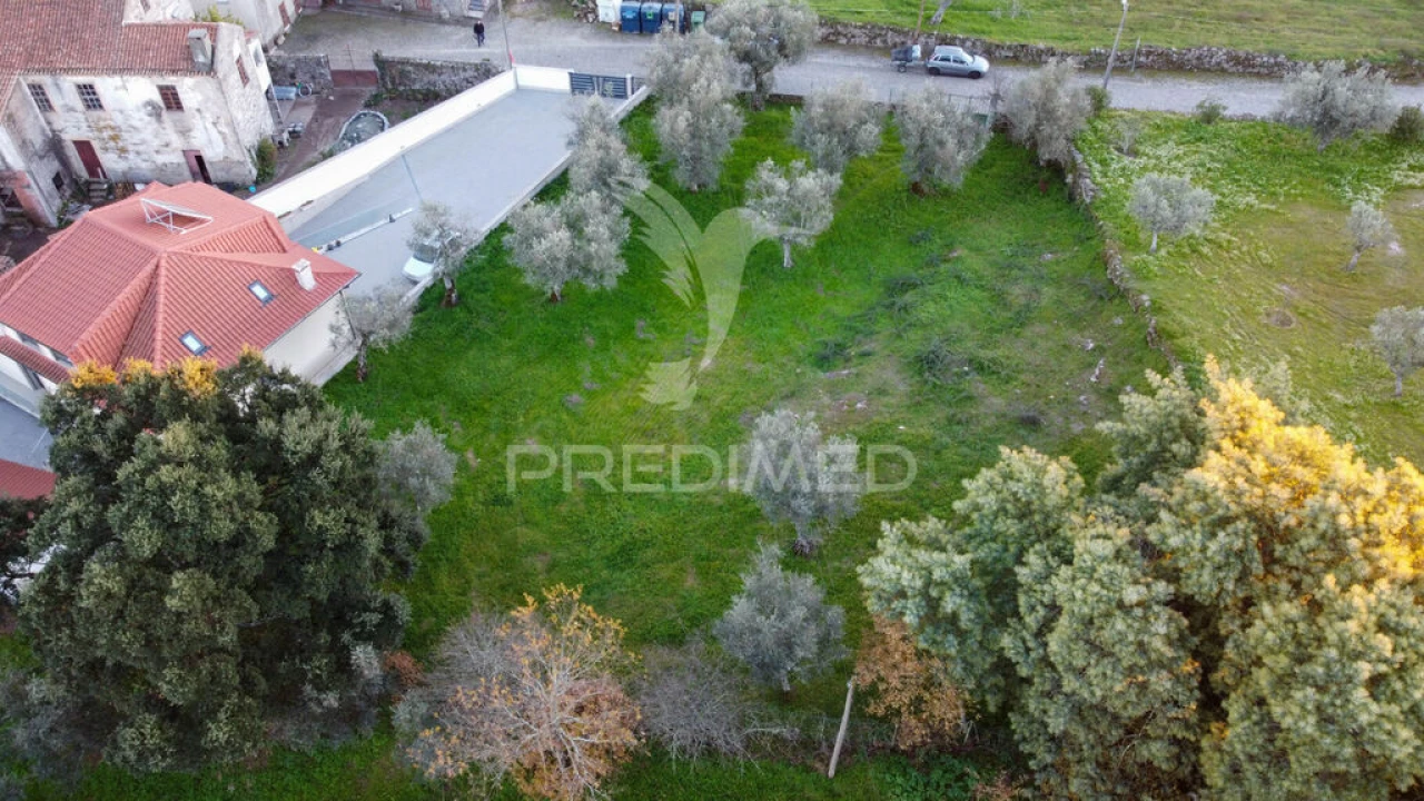 Terreno para Venda em Ratoeira Foto 4