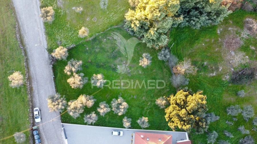 Terreno para Venda em Ratoeira Foto 2