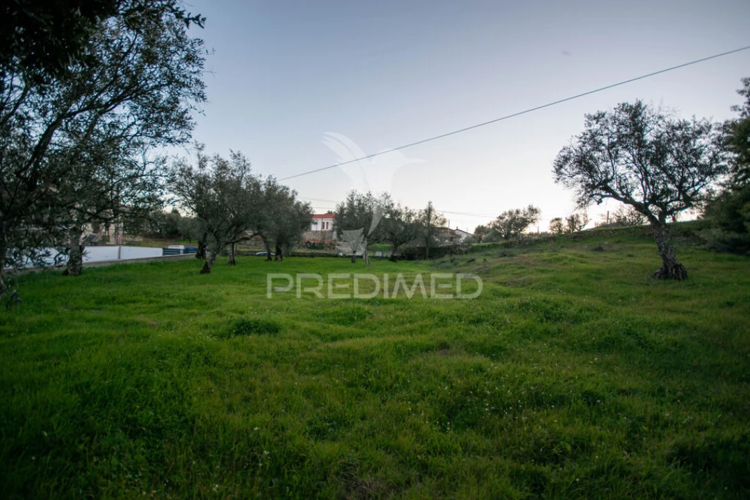 Terreno para Venda em Ratoeira Foto 9