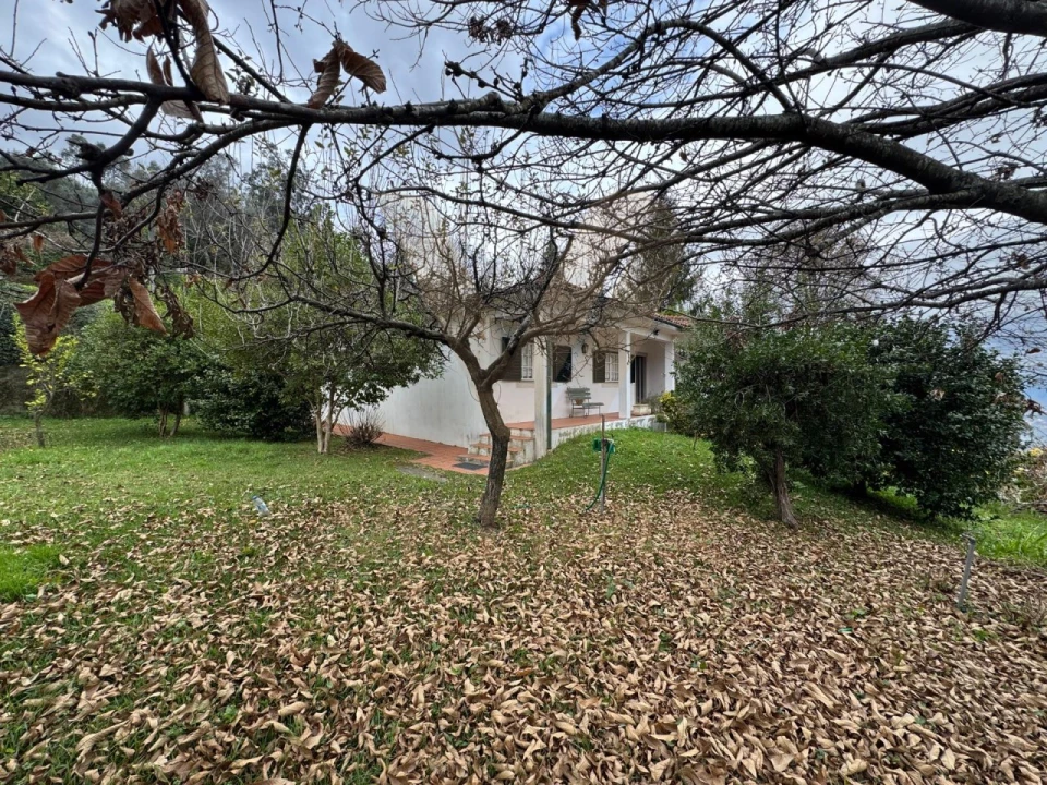 Moradia T4 para Venda em Rebordões (Souto) Foto 21