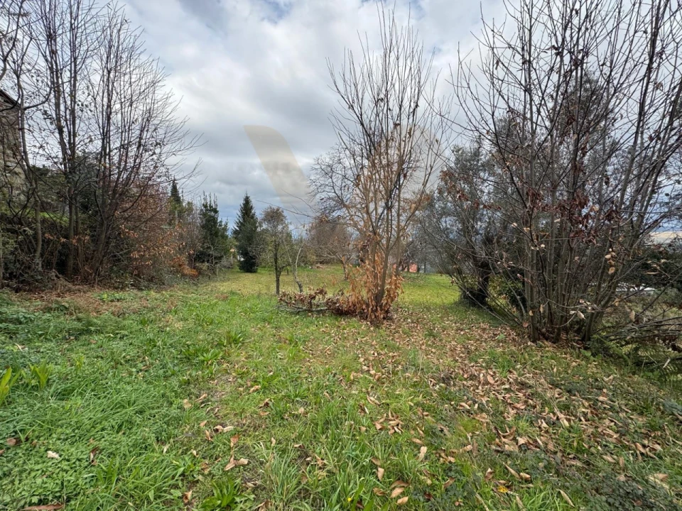 Moradia T4 para Venda em Rebordões (Souto) Foto 24