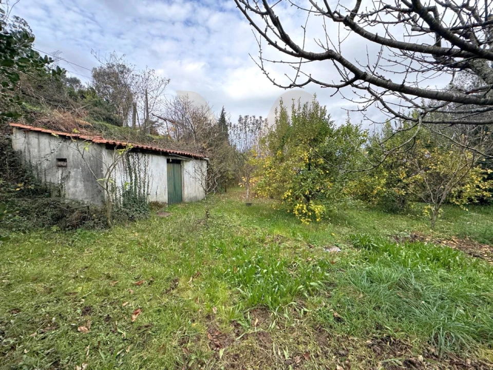 Moradia T4 para Venda em Rebordões (Souto) Foto 26