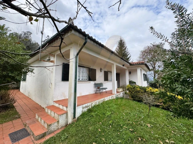 Moradia T4 para Venda em Rebordões (Souto) Foto 5