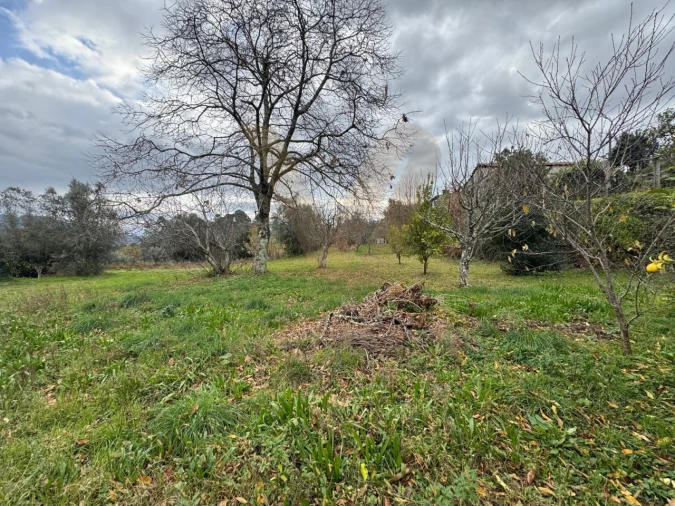 Moradia T4 para Venda em Rebordões (Souto) Foto 22