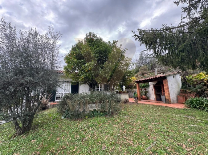 Moradia T4 para Venda em Rebordões (Souto) Foto 30