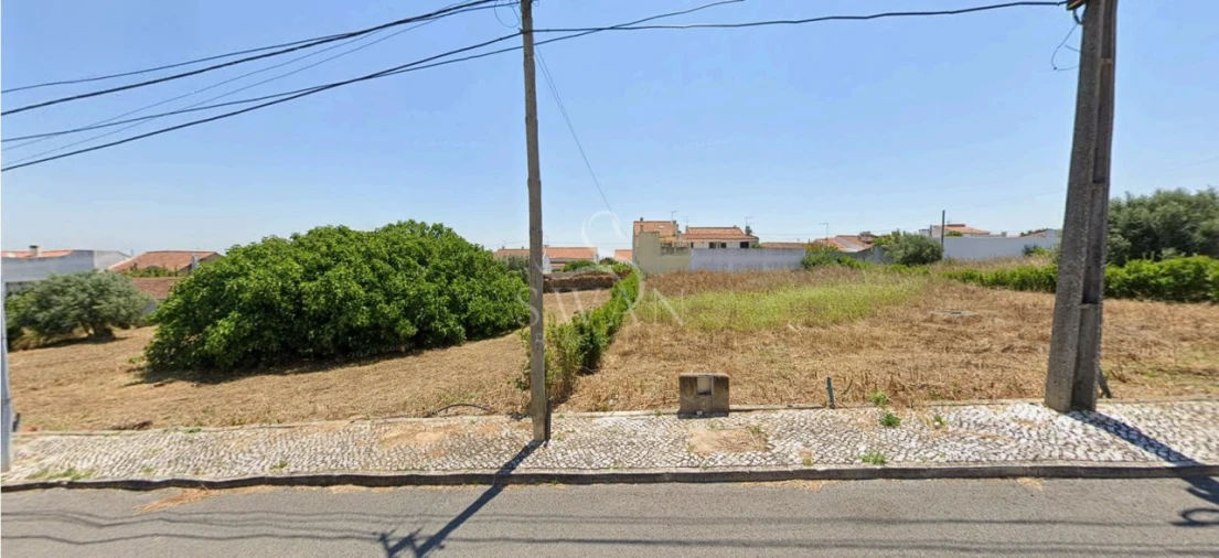 Terreno para Venda em Marmeleira e Assentiz