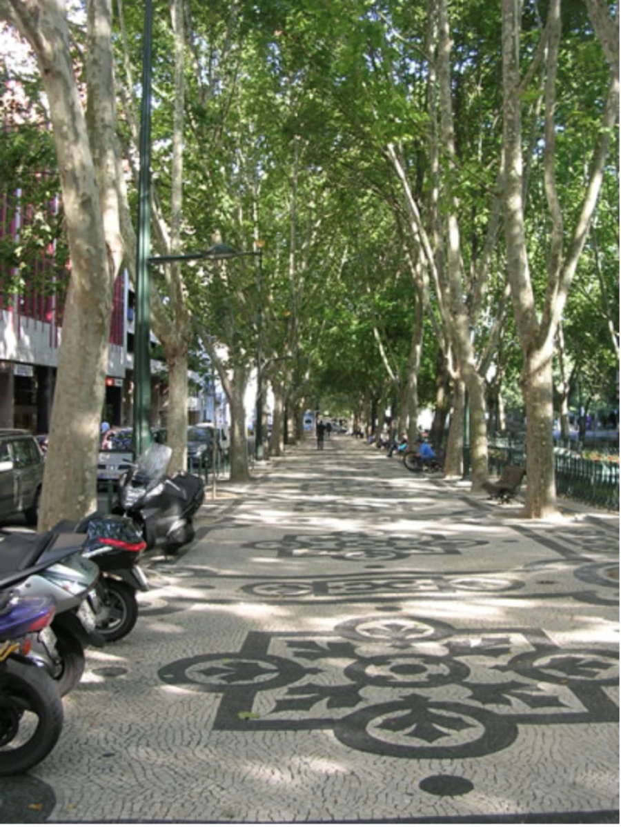 Garagem para Arrendamento em Santo António Foto 1