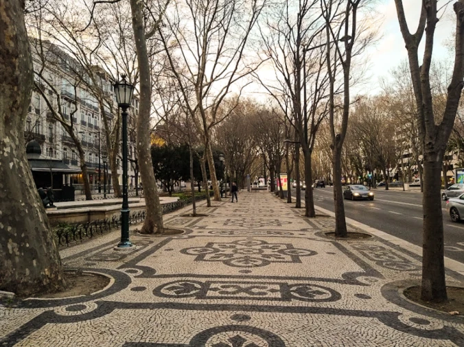 Garagem para Arrendamento em Santo António Foto 3