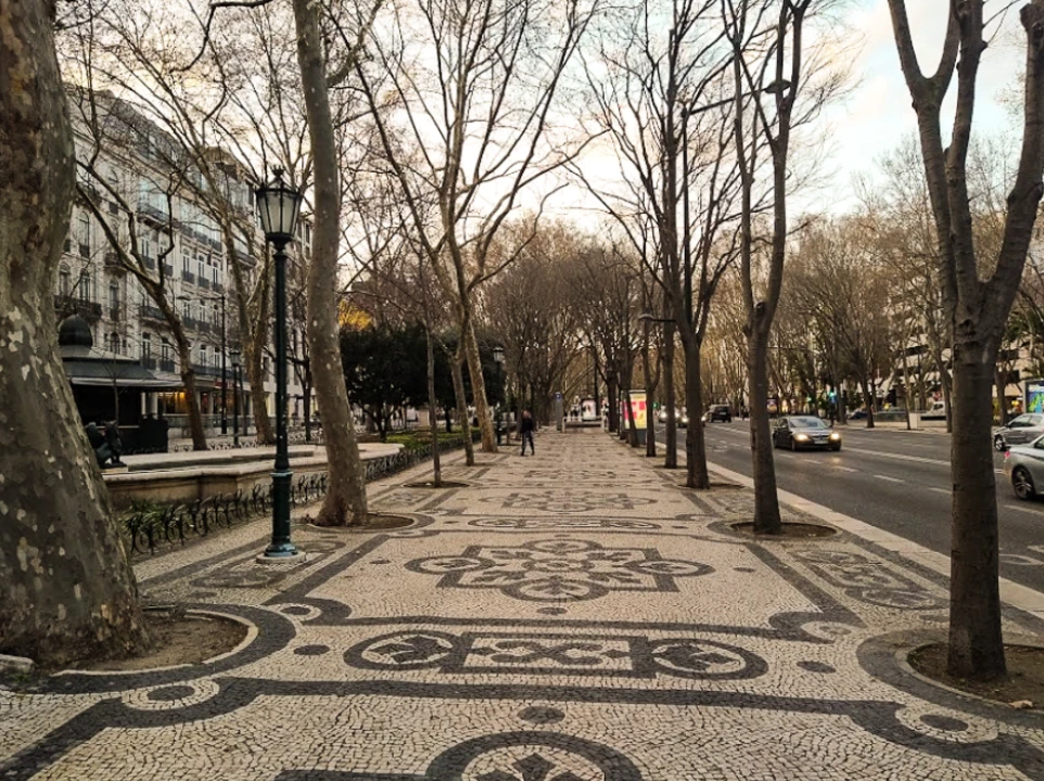 Garagem para Arrendamento em Santo António Foto 3