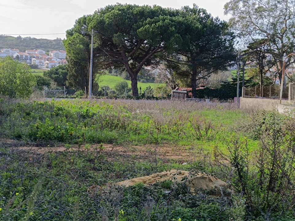 Terreno para Venda em Sesimbra (Castelo) Foto 6