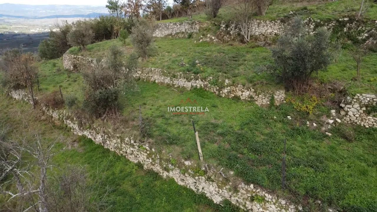 Quinta T0 para Venda em Folgosinho Foto 18