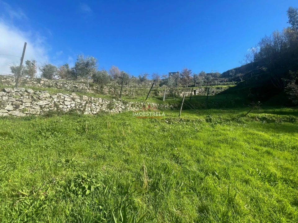 Quinta T0 para Venda em Folgosinho Foto 10