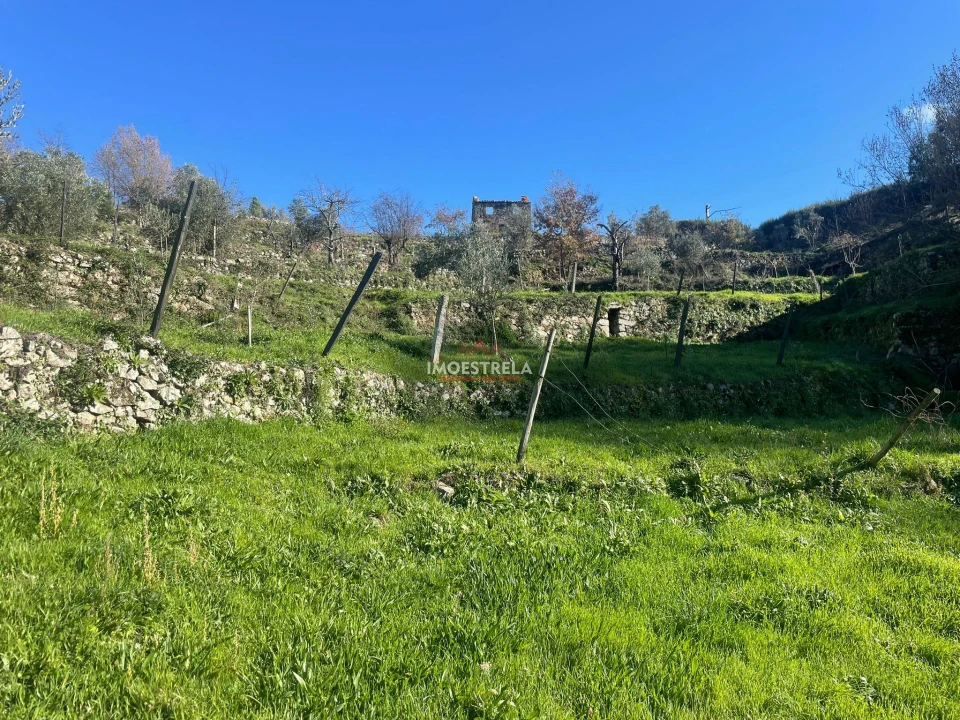 Quinta T0 para Venda em Folgosinho Foto 11