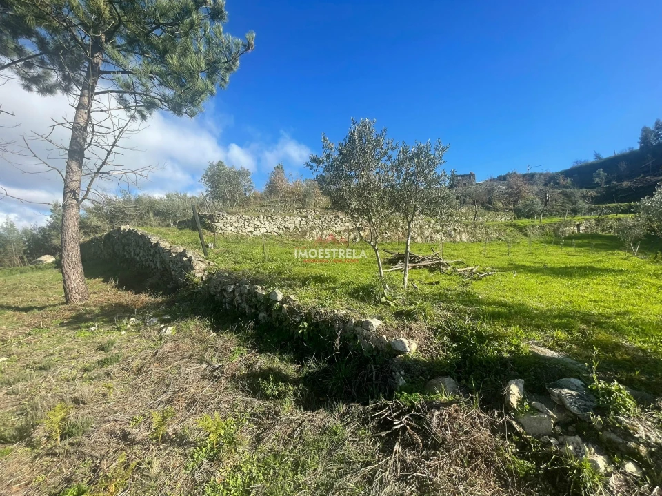 Quinta T0 para Venda em Folgosinho Foto 12