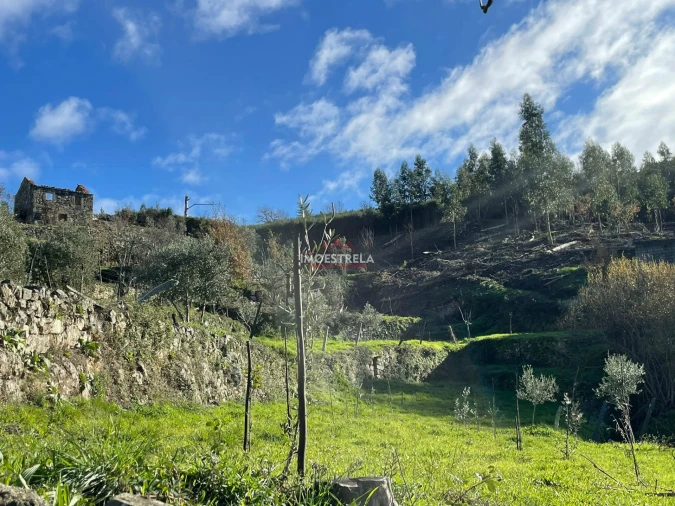 Quinta T0 para Venda em Folgosinho Foto 7