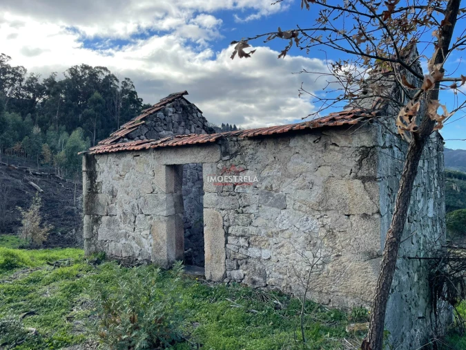 Quinta T0 para Venda em Folgosinho Foto 16