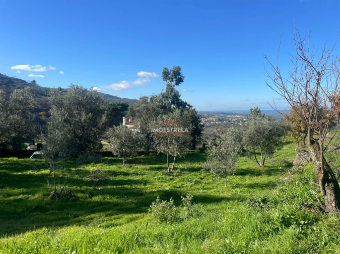 Quinta T0 para Venda em Folgosinho Foto 9