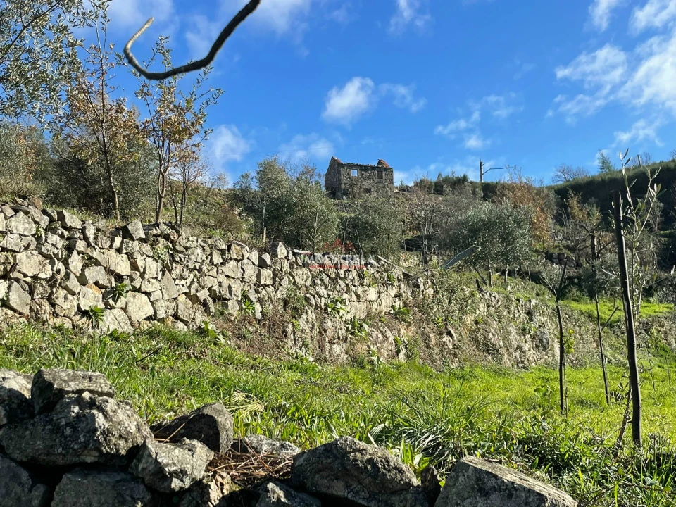 Quinta T0 para Venda em Folgosinho Foto 15