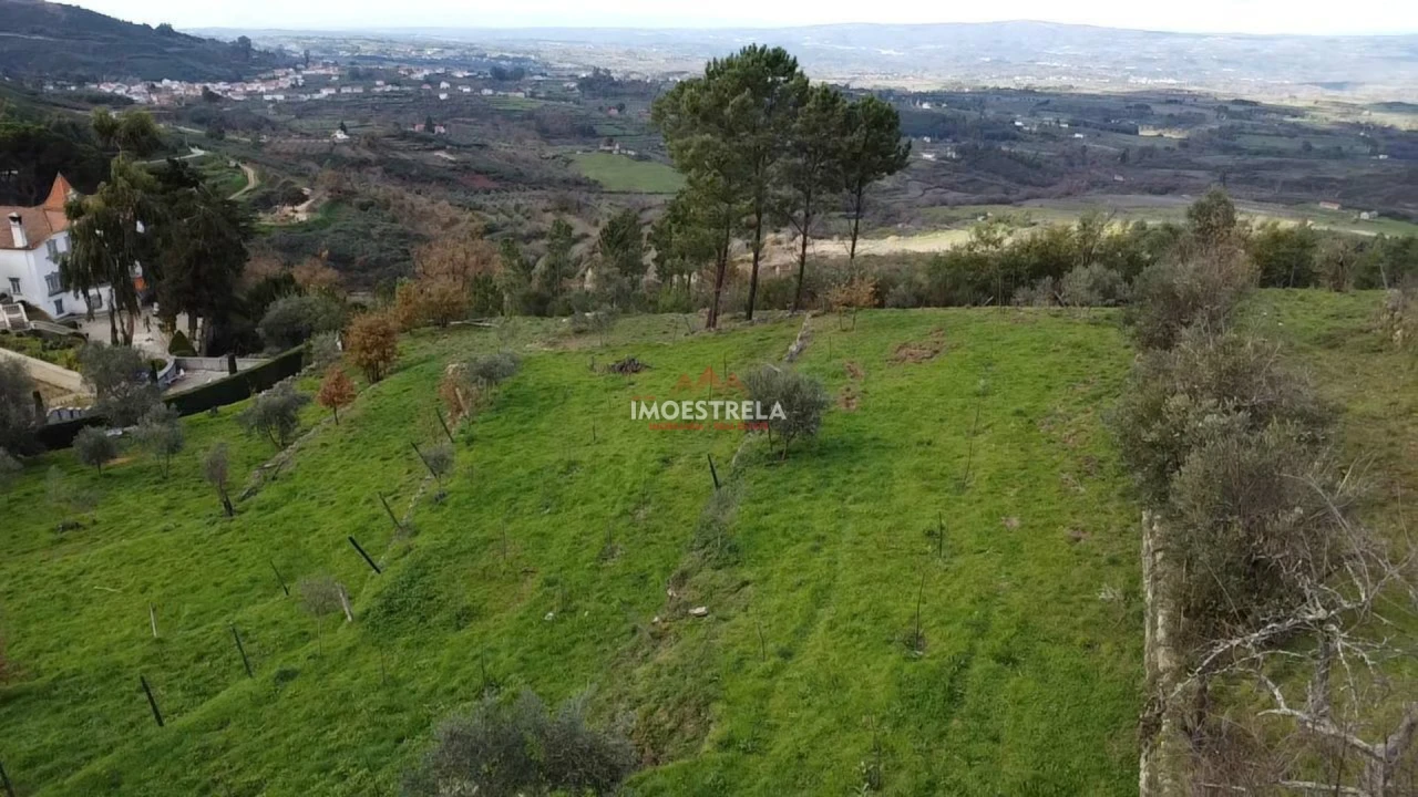 Quinta T0 para Venda em Folgosinho Foto 8