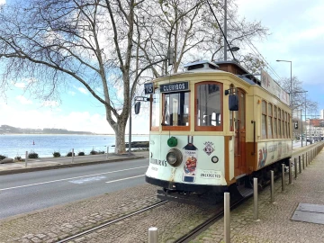 Armazém para Arrendamento em Lordelo do Ouro e Massarelos