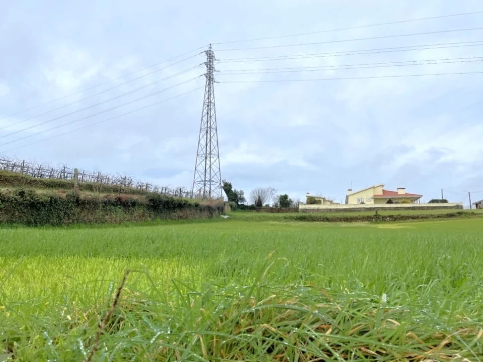 Terreno para Venda em Lousado Foto 11