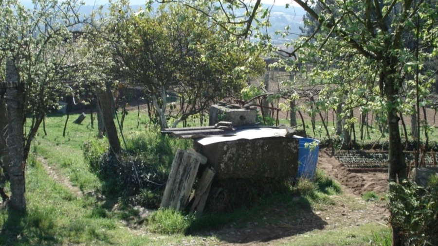 Terreno para Venda em Lousado Foto 12