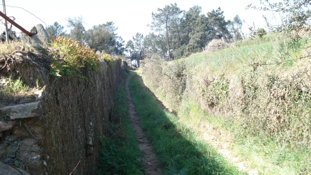 Terreno para Venda em Lousado Foto 10