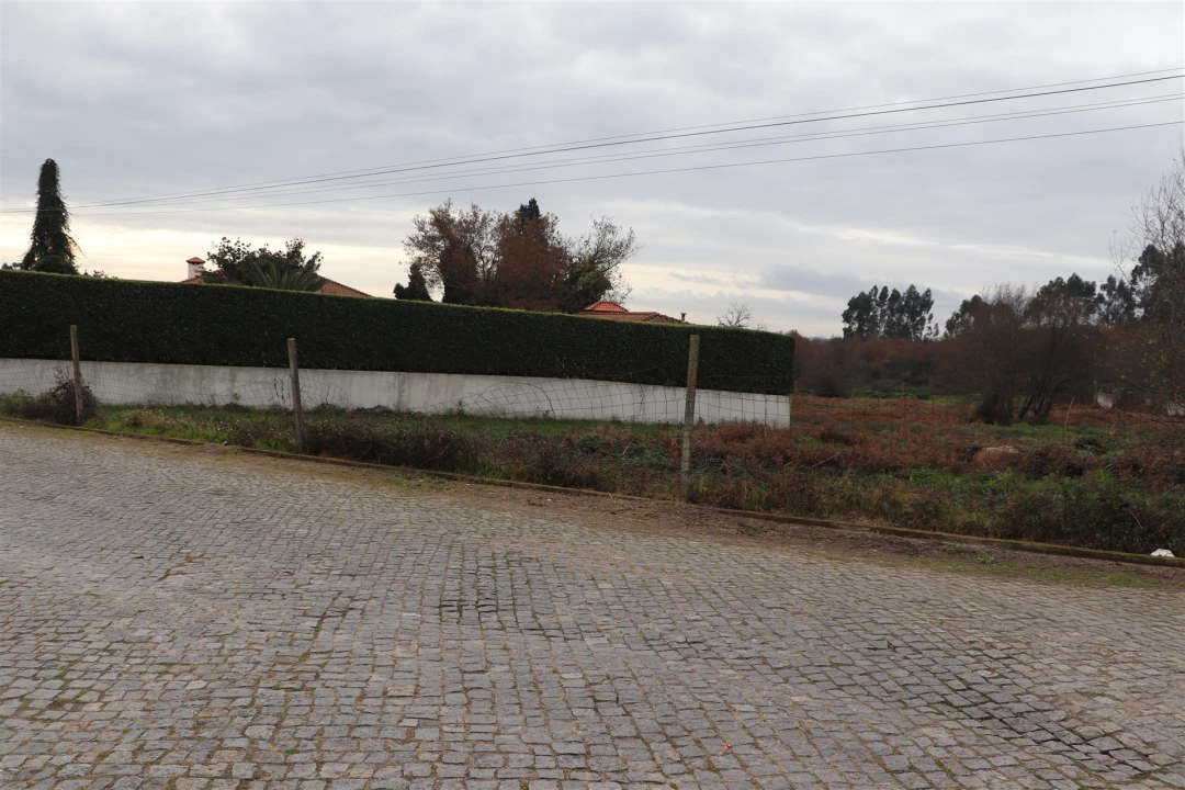 Terreno para Venda em Lustosa e Barrosas (Santo Estêvão) Foto 5