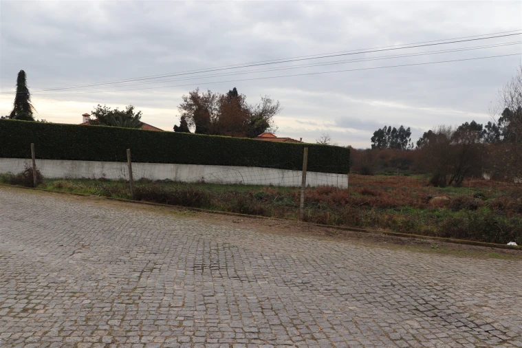 Terreno para Venda em Lustosa e Barrosas (Santo Estêvão) Foto 5