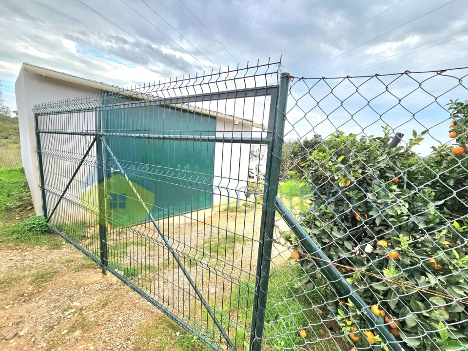 Terreno Agricola ou Rústico para Venda em Algoz e Tunes Foto 10