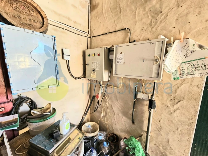 Terreno Agricola ou Rústico para Venda em Algoz e Tunes Foto 13