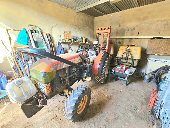 Terreno Agricola ou Rústico para Venda em Algoz e Tunes Foto 15