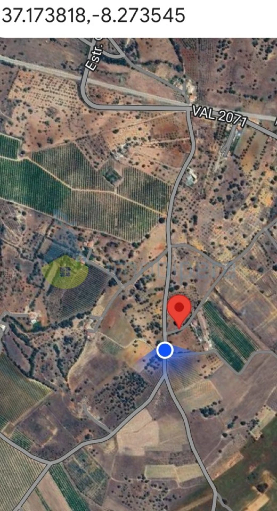 Terreno Agricola ou Rústico para Venda em Algoz e Tunes Foto 17